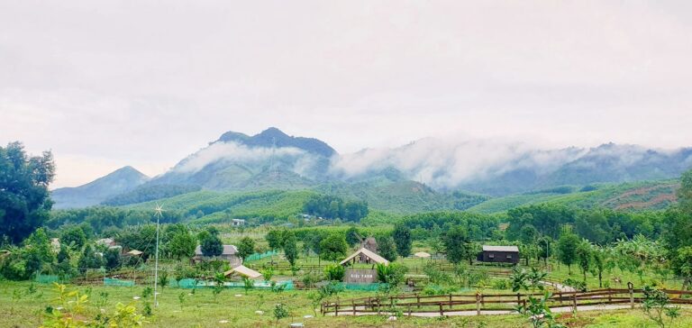 Cà phê ngắm cảnh view núi rừng cực chill